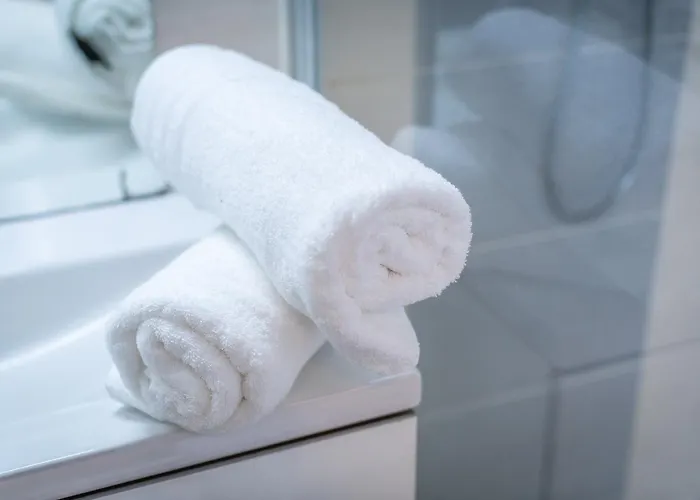 Aux Jardins De L'hotel De - Hypercentre Avec Parking Prive 公寓